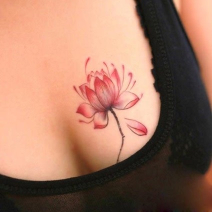 A tetováló lotus értéke