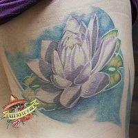 A tetováló lotus értéke