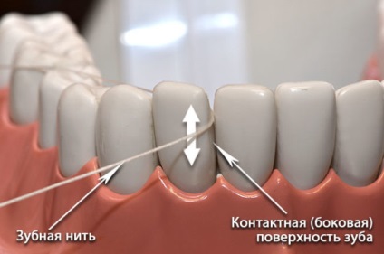 Perii de dinți perii b alegeți cele mai bune pentru tine din mai multe specii