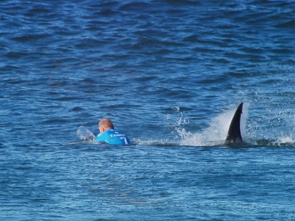 15 Persoana care a supraviețuit atacurilor teribile ale rechinilor, naibii