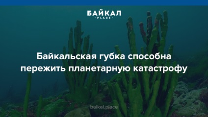 5 Váratlan tények a Baikal-tóról, Baikal