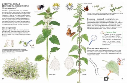 7 Cei mai interesanți ilustratori moderni ai cărților pentru copii