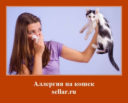Alergie la pisici
