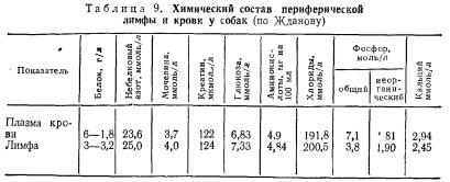 Caracteristicile anatomice și fiziologice ale câinilor (partea 3) - totul despre medicina veterinară