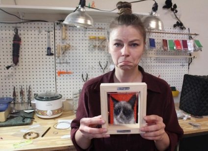 Proiect de artă despre pisica cea mai supărată pe Internet (6 fotografii)