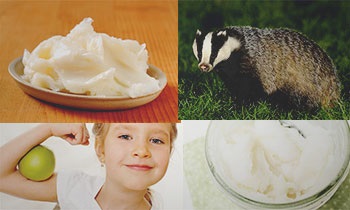 Badger gras pentru imunitatea copiilor și a adulților
