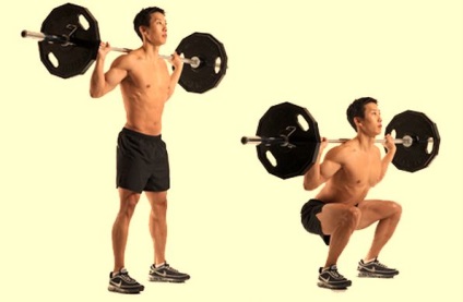 Exerciții de bază pentru toate grupurile musculare