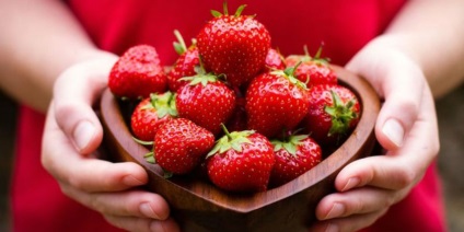 Afacerea de cultivare a căpșunilor pro și contra