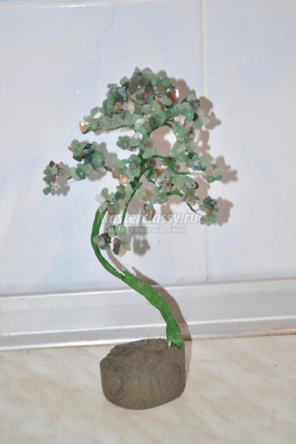 Bonsai jásszkából és jádéból (bonsai) Bonsai jaszter és jade