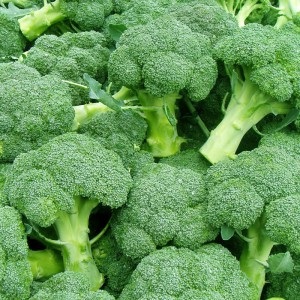 A brokkoli árt, előnyöket és kalóriát, ételt és egészséget
