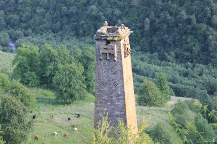 Turnurile cecene