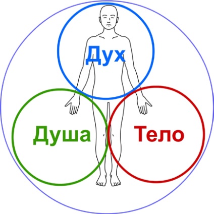 Ember a teremtés, teremtés rendszerében