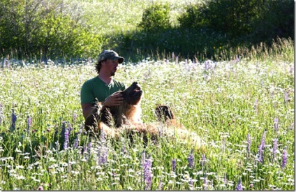 Egy ember, aki grizzly medvével él