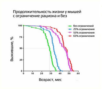 Ce este maleness (maleness în alimente crude)