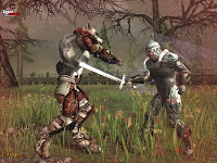 Revizuirea Darkfall a unui joc online interesant