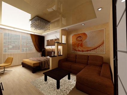 Designul unui living-dormitor de 15, 16 și 17 mp (20 fotografii)