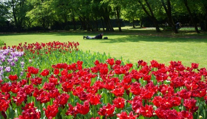 Atracții ale lacului Garda, parcul italian sigurta, știu în străinătate