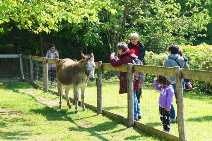 Atracții ale lacului Garda, parcul italian sigurta, știu în străinătate