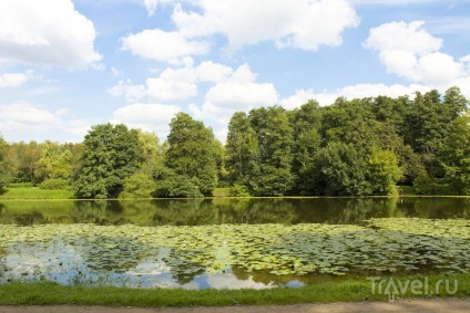 Atracții ale parcului de cultură și recreere din Moscova Kuzminki