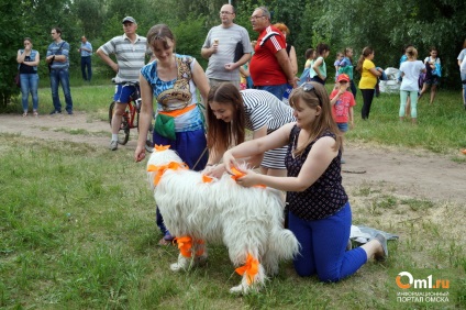 Energia orașului ca rezidenți Omsk a petrecut ziua tinerilor