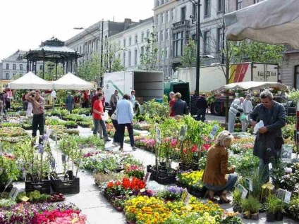 Ghent - minden érdekes hely a városban, kirándulások, közlekedés, vásárlás