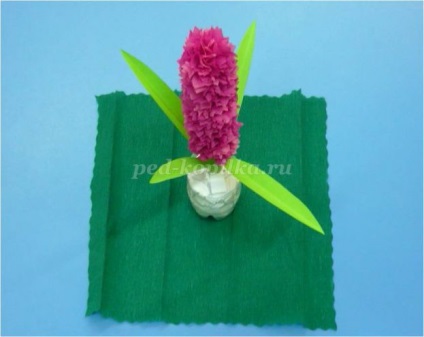 Hyacinths făcute din hârtie crep cu mâinile lor
