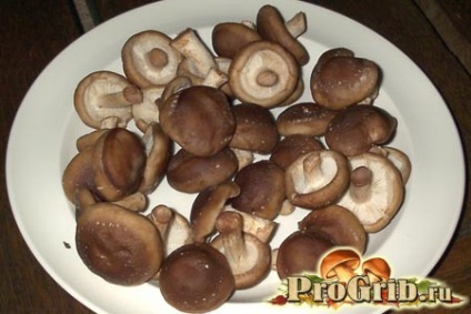 Shiitake ciuperci proprietăți utile și posibilă rău, compoziție și conținut de calorii