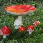 Gomba fly agaric (43 fotó) piros, párduc, fehér, zöld, fajok leírása, ahol nő, lábak alakja