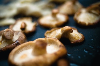 Shiitake ciupercă bună și rău - proprietăți medicinale