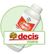 Insecticidul a decis instrucțiunile pentru utilizare și consum