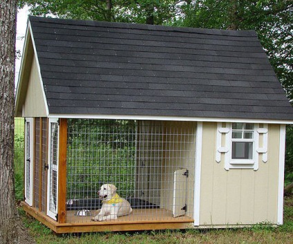 Idei interesante pentru case mici pentru câini