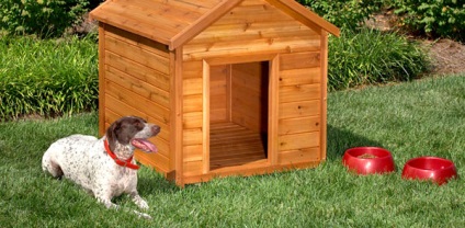 Idei interesante pentru case mici pentru câini
