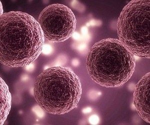 A mesterséges sejtek leküzdenék a veszélyes fertőzéseket - az orvostudomány 2