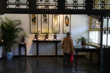Orhidee modestă ortodoxă în cultura chineză