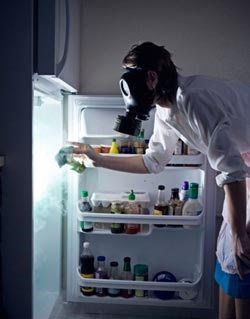 Hogyan lehet megszabadulni egy kellemetlen szagtól a hűtőszekrényben otthon, hasznos tippek