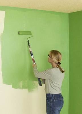 Cum de a picta peretii intr-o camera de la alegerea de vopsea și de culoare pentru a lucra cu un role - viața mea