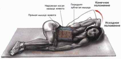 Cum să pompeze mușchii abdominali oblici, lumea sportului