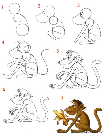 Cum de a desena o maimuță în etape