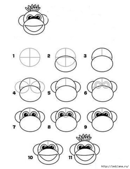 Cum de a desena o maimuță în etape