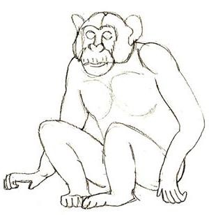 Cum de a desena o maimuță pas cu pas