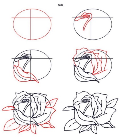Cum să desenezi un desen în 8 etape