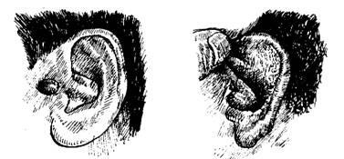 Cum să identificați bolile de urechi