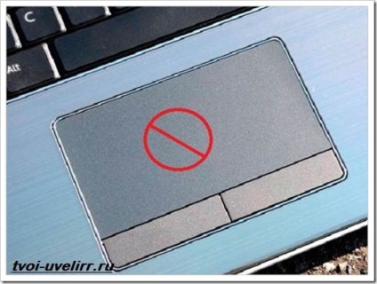 Cum să dezactivați touchpad-ul pe un laptop Aflați cum să vă asigurați confortul de lucru pe un laptop