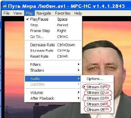 Как да смените езика на филма в Windows Media Player