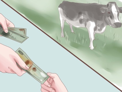 Hogyan válasszunk egy jó tehénnek