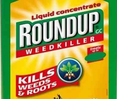 Cum să aplicați medicamentul - Roundup
