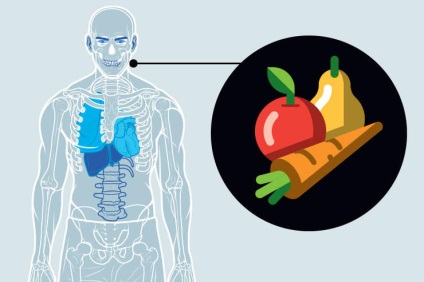 Cum să mențineți sănătoase 13 sisteme majore de corp, Bolotai