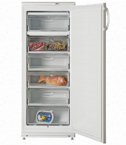 Cum de a alege un congelator pentru casa ta, ai nevoie de un congelator