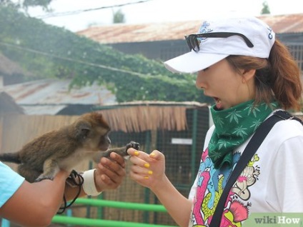 Cum să ai grijă de o maimuță