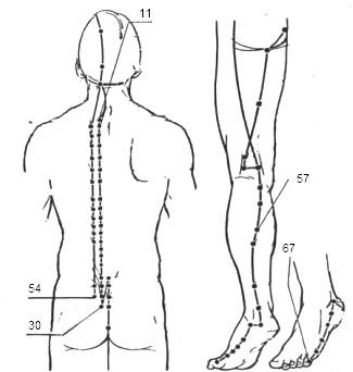 Canalul (meridianul) vezicii urinare sunt șapte puncte majore